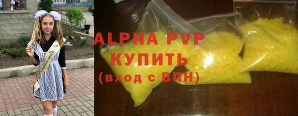 прущие грибы Зеленокумск