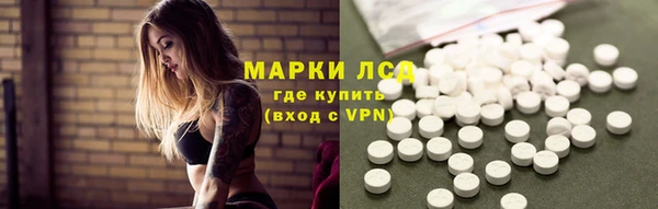 прущие грибы Зеленокумск