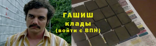 прущие грибы Зеленокумск