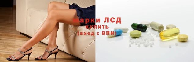 прущие грибы Зеленокумск