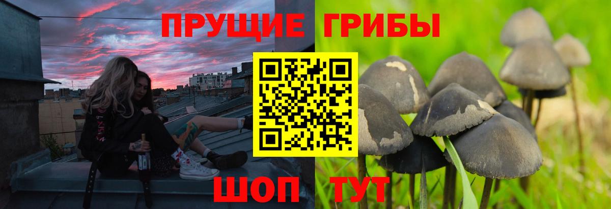 Галлюциногенные грибы мухоморы Егорьевск