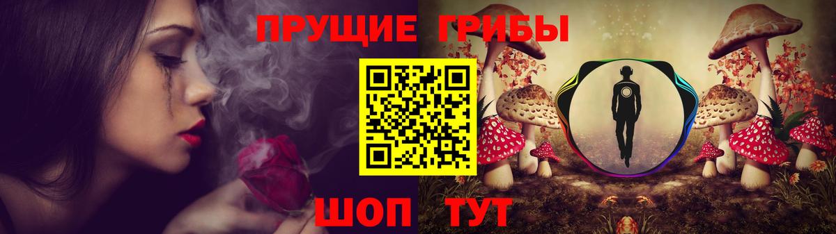 Галлюциногенные грибы Magic Shrooms  Вход с VPN  Егорьевск  Галлюциногенные грибы мухоморы 