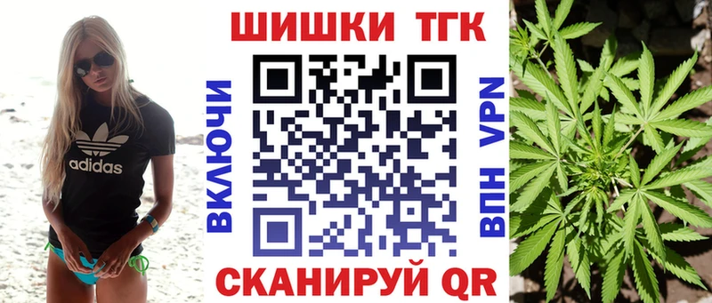 Бошки Шишки план  купить наркоту  Егорьевск 